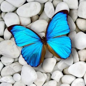 Meet your Posher, Keira